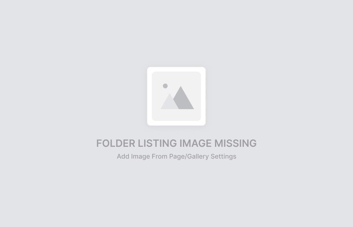 Projects and Bodies of Work